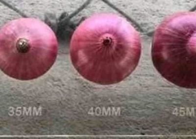 o15